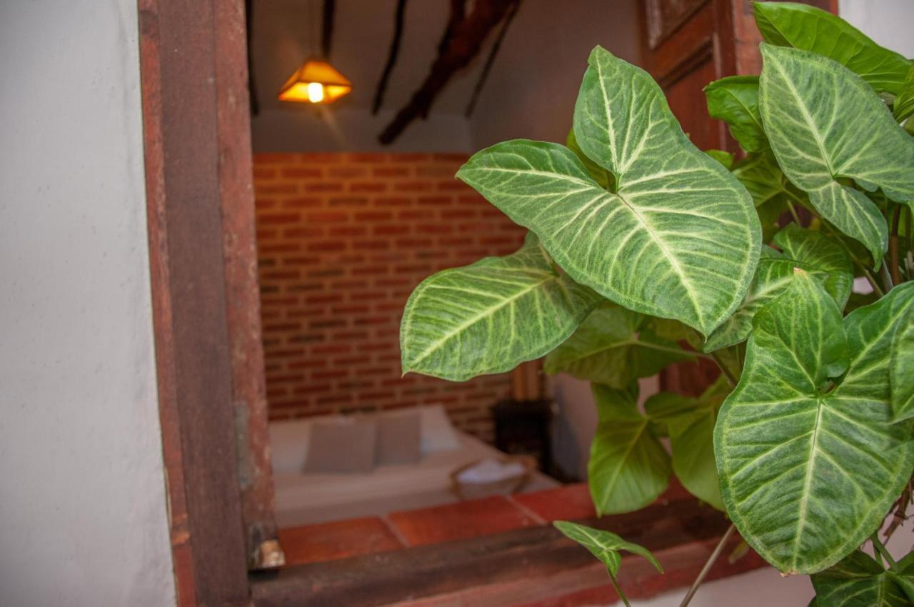 La Juanita Hostel Барічара Екстер'єр фото